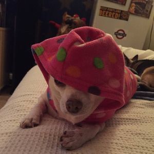 Meet your Posher, Ruth